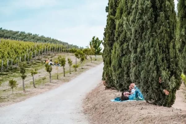 Cantine Aperte Abruzzo 2023 Foto di Contesa Wines