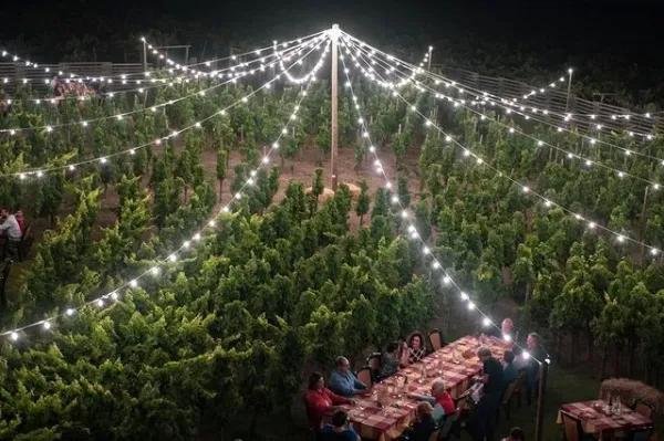 Calici sotto le stelle Abruzzo 2023 Immagine di