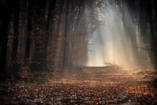 Copertina per l'articolo: Foliage Abruzzo: 4 magici luoghi dove andare