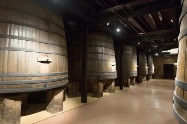 Cantine aperte 2023 Pescara   su Freepik
