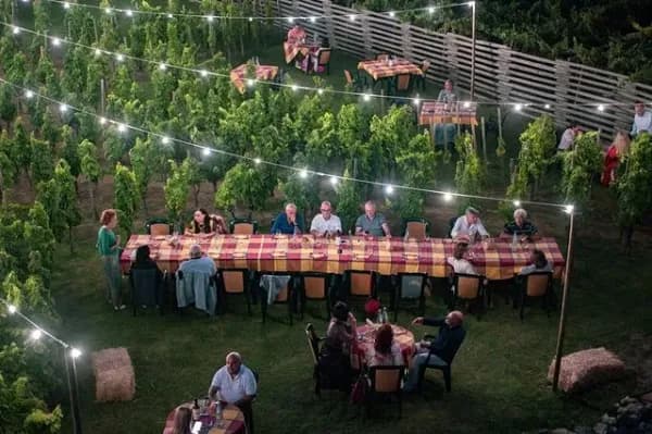 Calici sotto le stelle Immagine di Dora Sarchese Winery