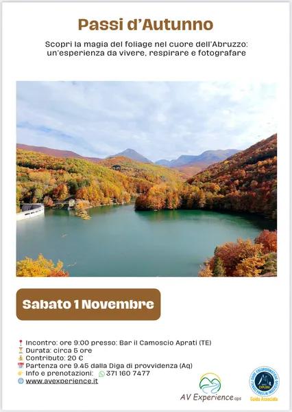 Immagine rappresentativa per Passi D'autunno