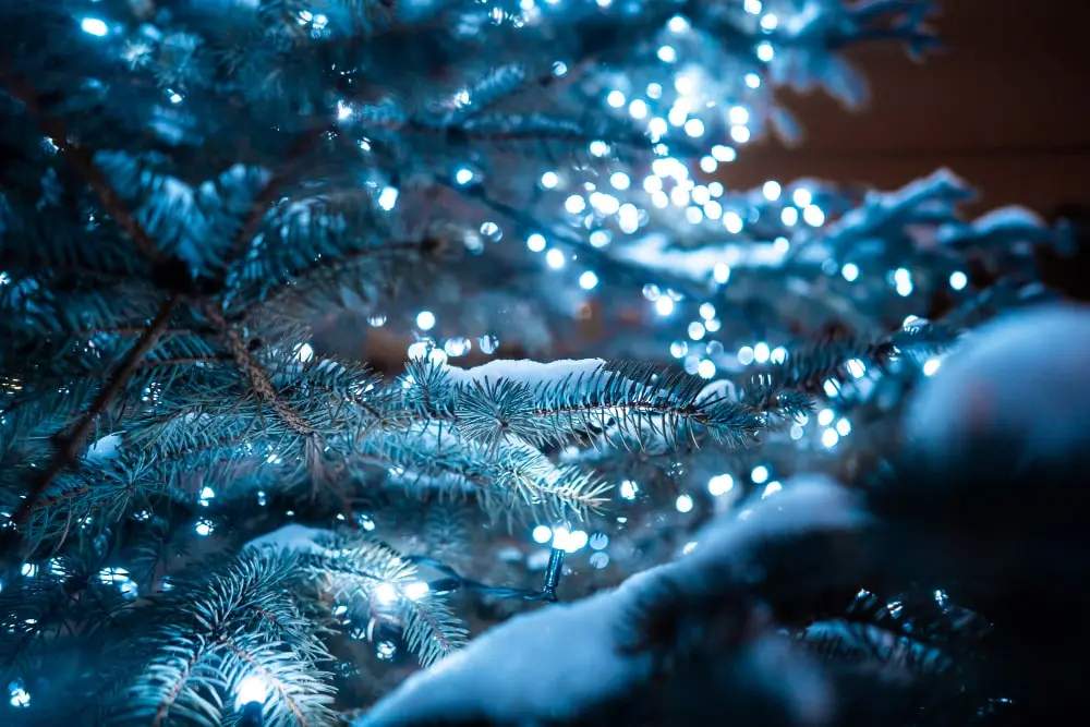 Accensione albero di Natale Abruzzo