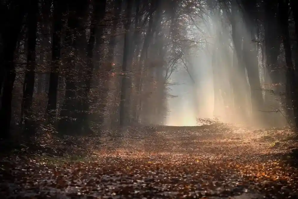 cosa e il foliage - Dove andare in Abruzzo