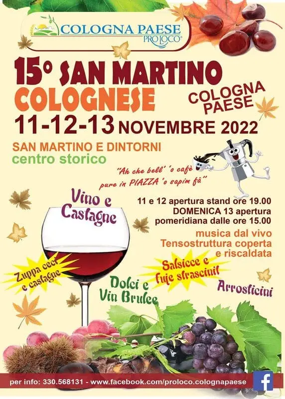 Festa del vino San Martino Colognese